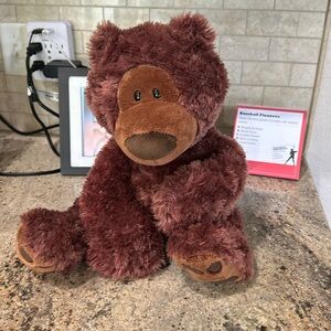 Adorable Gund Teddy Bear!